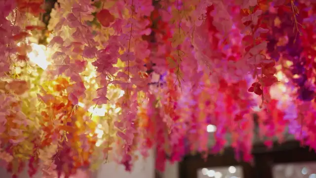 Prasad & Krutika, Wedding Film