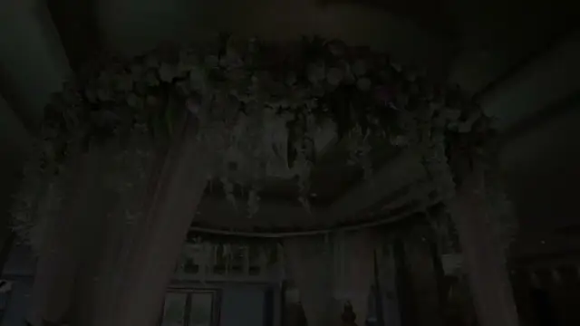 Nidhi & Rohit, Wedding Film